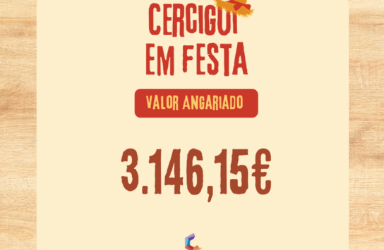 Informação | Valor angariado :: CERCIGUI EM FESTA